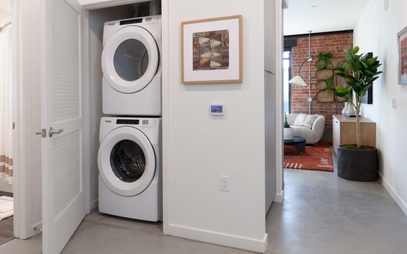 a room with a washing machine and a plant in it
