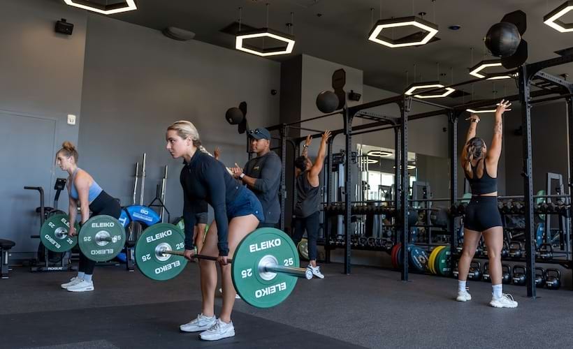 LuxFit