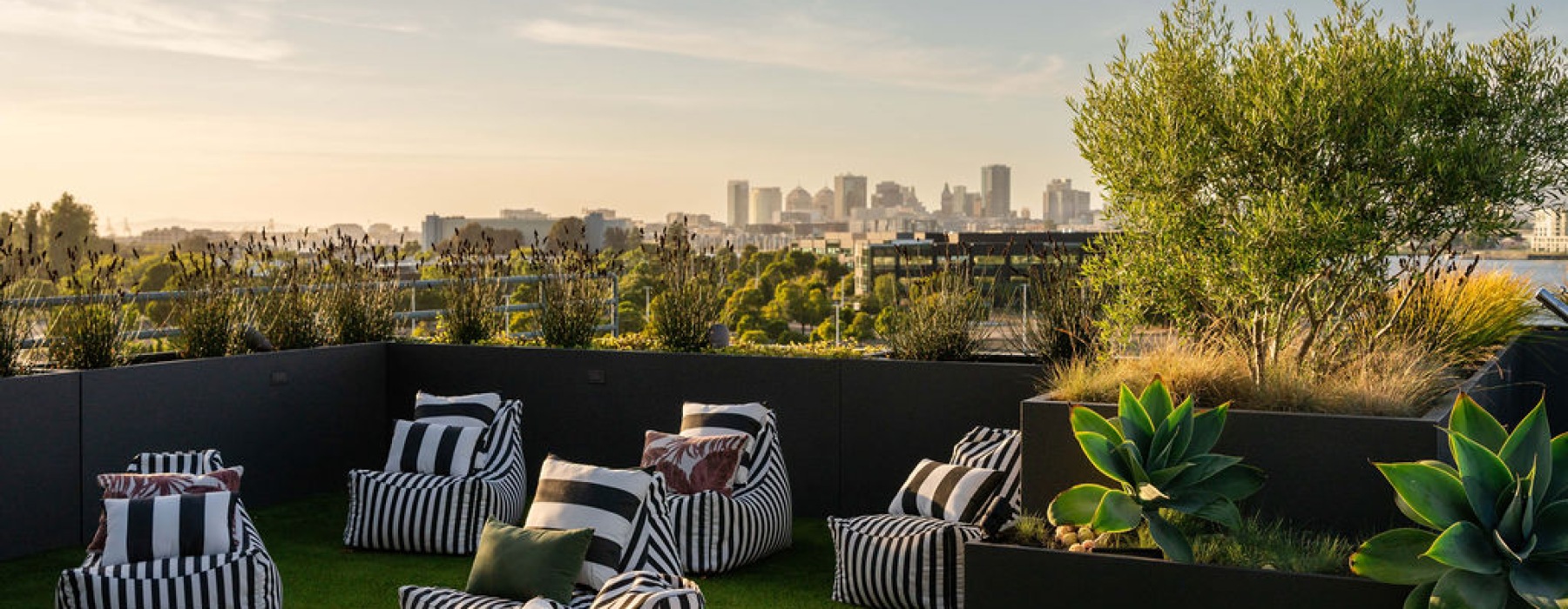 Rooftop Lounge